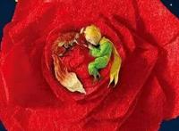 不只有《小王子》，还有这些法国动画电影被奉为经典