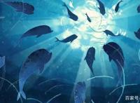 片单｜7部奇幻动画片，孩子轻松变“头脑风暴”王者