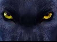 动画《雪鹰领主》将播，一柄长枪扬名万里，燃烧热血，你期待吗