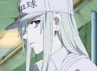 60部国产动画新作公开，博人传宣布更换编剧｜动漫大事件