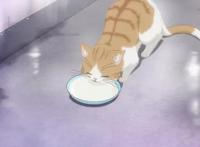 《佐佐木与宫野》画面都是亮晶晶，描写清爽的青春男高中生生活