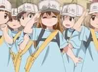 2021年1月新番导视（续作篇），工作细胞，动物狂想等来袭