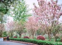 这份欢乐指南你值得拥有，欢乐谷等你来