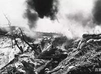 以前拍的是纪录片，现在拍的是动画片