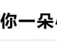 元旦档大片云集，爆款能否带动大盘？丨鲜观
