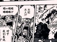 海贼王1014话：凯多知晓一切，为何不去夺宝？大和可能是叛徒