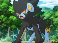 盘点四只狮子形态的神奇宝贝，最后一只被称为太阳使者！