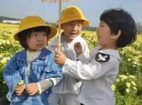 步睿林幼儿园，双十一招生钜惠原1390半价695！