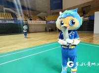 省运“笑脸”｜胡旭：担任吉祥物赛场上同样精彩