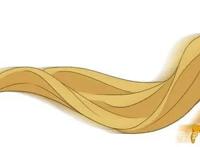 迪士尼公主穿上DC宇宙服装，艾莎变成小丑女，安娜变成小毒女