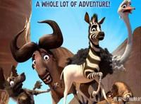 《斑马总动员》：生来就有缺陷的斑马，离家出走寻找逆袭机会