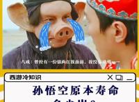 好看，新西游记系列动漫