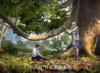 曾经的网文神作《紫川》，动漫版开播，网友：千万不要毁原著