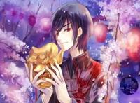 四部曾风靡一时的小说，巅峰时期，哪一部更辉煌？