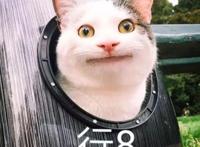 《冰雪奇缘》被小学生送上热搜！你的童年也有这些刷屏级国漫神作