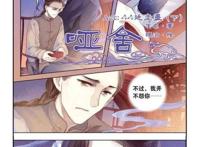 《哑舍》中的故事让你怀疑历史，《石头记》作者另有其人？