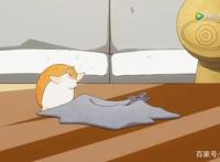 TX强势与阿哔争夺新番独播：古见同学、平凡职业与女友成双