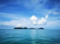 海贼王动漫赏析