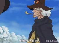 海贼王动漫组原创的12位角色，原来尾田的漫画中根本没有这些人！