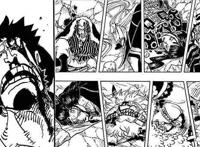 1000话是《海贼王》新的开始，路飞从未改变，陪伴常在身边