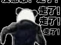 小说书名怎么取？取长的，还是辨识度高的？