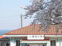 圣地巡礼！日本动漫中绝美车站大盘点~