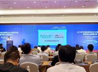 祥源文化旗下翔通动漫荣获2019年中国互联网百强企业