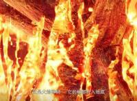 动漫万界神主：是人是鬼都在秀，唯有鲲鲲在挨揍