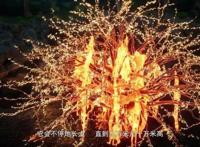 动漫万界神主：是人是鬼都在秀，唯有鲲鲲在挨揍