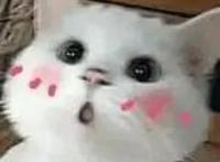 打破“次元壁”！这场盛会，不来看看？