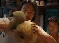 明明是外星人的宠物，为什么会有这么大的区别？