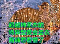 《圣斗士星矢》漫画后传，作者构思出新的设定，实力已超过神圣衣