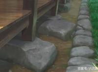 “日本童话女王”柏叶幸子的小说《海岬的迷途之家》决定动画化！