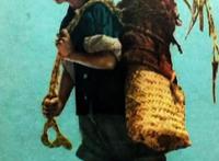 二次元群体庞大，漫画作品影视化成趋势