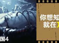 它凭什么成为票房冠军？