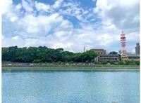 《龙与雀斑公主》电影场景巡礼！跟着电影走访高知县最美日常风景