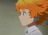 《约定的梦幻岛》仅剩4.1分，动画删减惹怒粉丝，原作者也无法挽救？