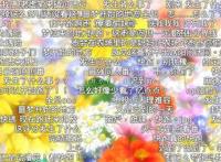 《约定的梦幻岛》第二季口碑大崩，如何才不重蹈它的覆辙？