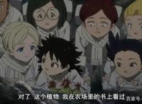 有生之年！《约定的梦幻岛》第二季更新！“食用儿童”该何去何从