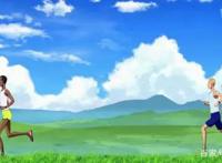 运动番推荐之《强风吹拂》