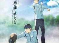 推荐动漫之运动番《强风吹拂》