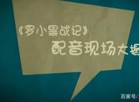 《罗小黑战记》的配音演员，你都认识吗？