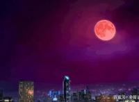 《斗魂卫之玄月奇缘》这部动画，将会成为到什么样子？