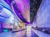 文旅预告｜声入人心少年团抵汉开唱，自然博物馆夜游开放（上）