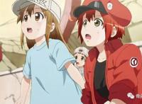 国漫｜《如果历史是一群喵》：不说教的科普番，依然是观众的心头好