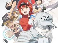 大作齐聚的1月番，居然有这么多好看？我已经等不及了