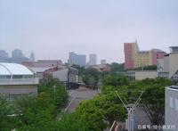 高桥留美子如何从不爱学习的富二代变成上缴1亿税款的漫画大师？