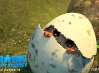 合家欢必看《笨鸟大冒险》欢乐来袭，有笑有泪高能欢乐