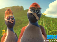 动画电影《笨鸟大冒险》12月4日欢乐来袭，有笑有泪高能欢乐！