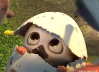 2021最后一个月，一部国产动画《笨鸟大冒险》，迪士尼，我先飞了